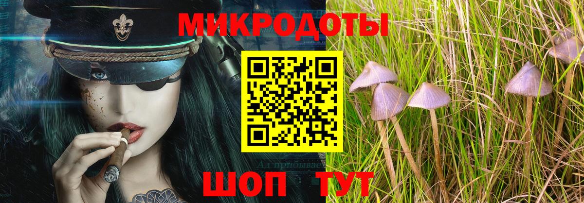 Галлюциногенные грибы мицелий  Вход с VPN  Светлоград 